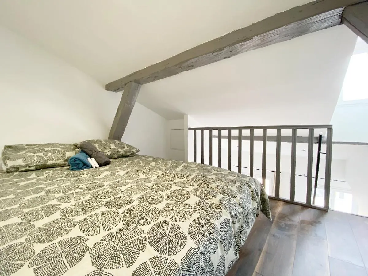 Apartment Hypercentre 8 Toulousain Bel Appartement Climatise Toulouse
